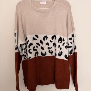 Pink Lily Colorblock Leopard Sweater